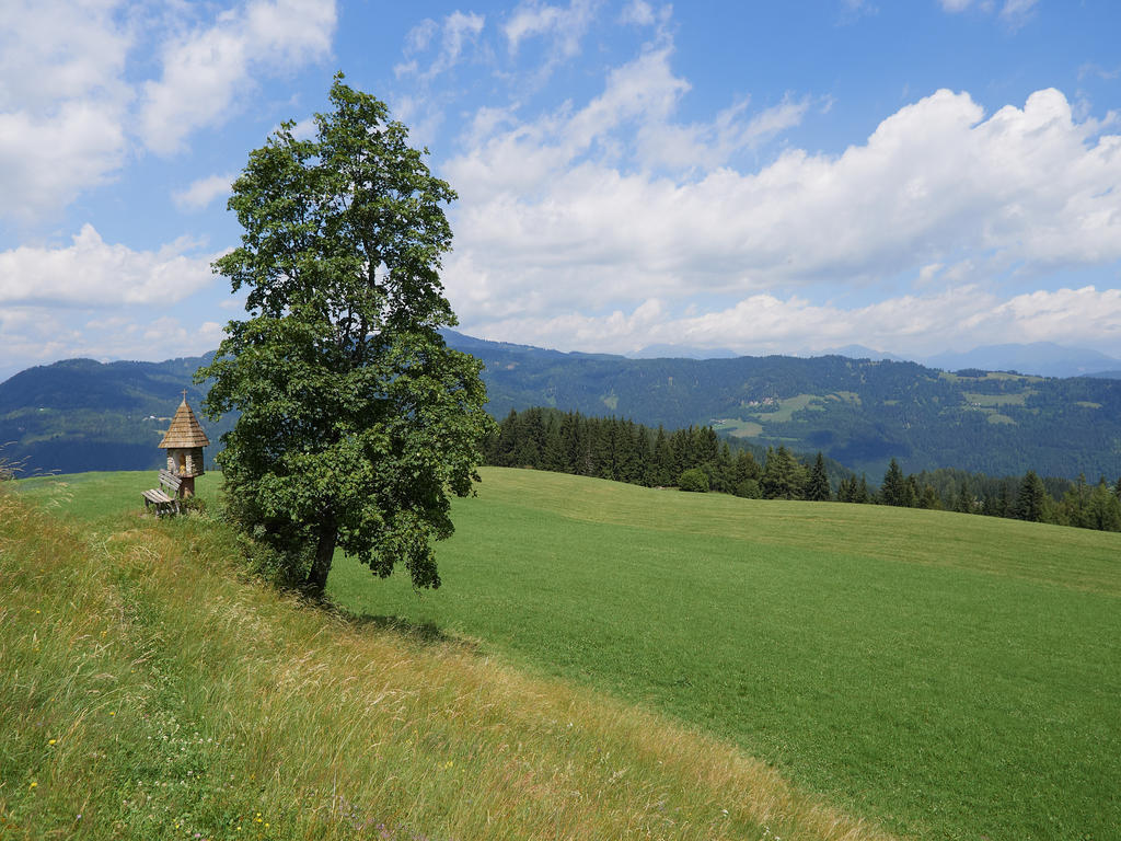 Alpengasthof Moser Karchau Esterno foto